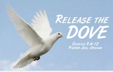 Release the Dove