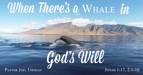 When There's a Whale in God's Will